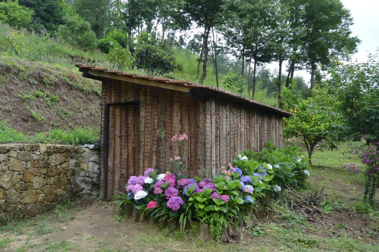 Casa Do Ribeiro Villa Sever do Vouga Dış mekan fotoğraf