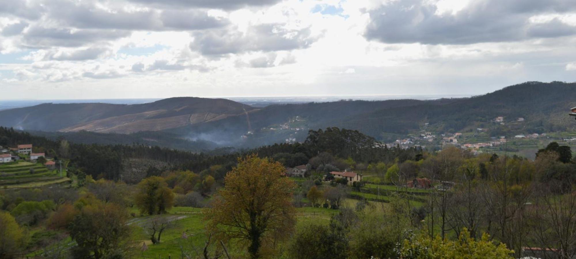 Casa Do Ribeiro Villa Sever do Vouga Dış mekan fotoğraf